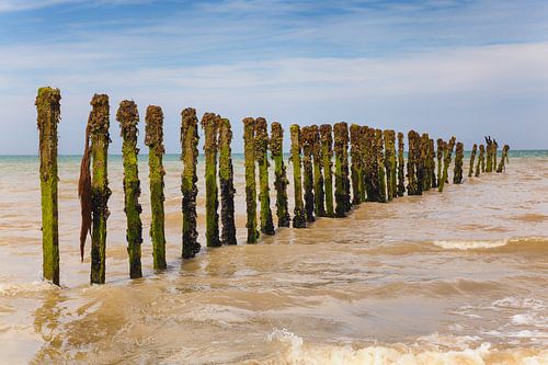 Breakwater with cormorants in France