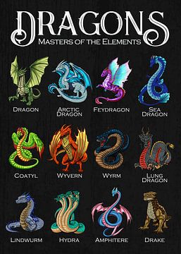 Dragons of mythology by Pixelbull Design