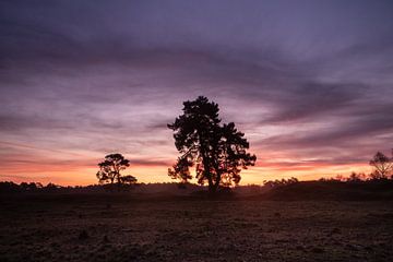 Zonsopkomst Heidestein Driebergen Zeist van Peter Haastrecht, van