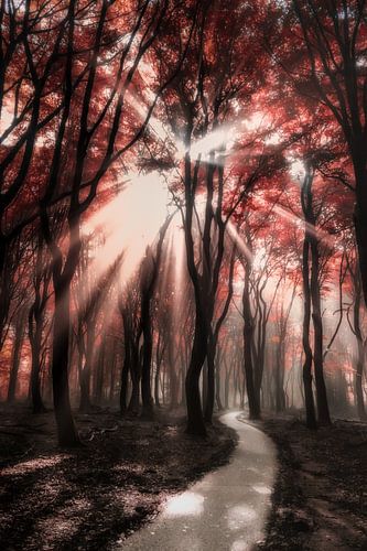 Red glow sur Niels Barto