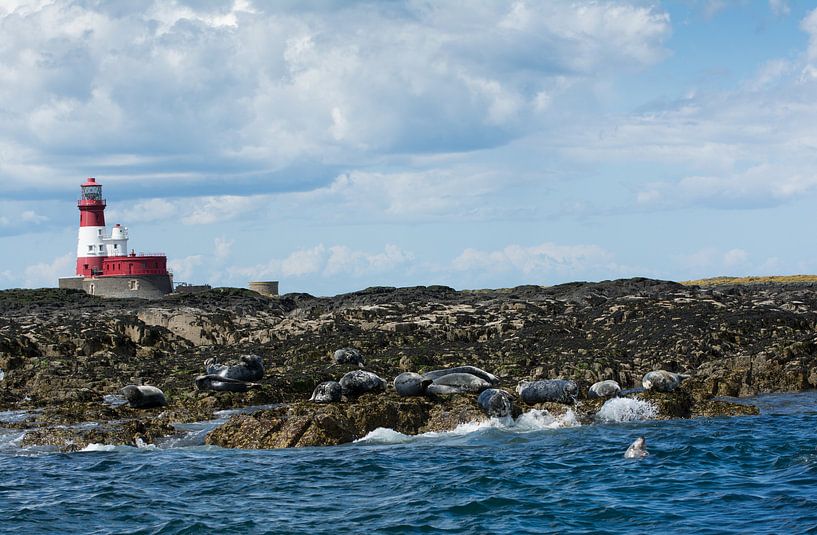Longstone Lighthouse, England by Marian Sintemaartensdijk