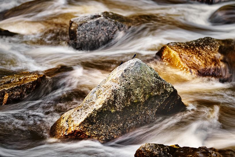 Rapids in the evening light by Ralf Lehmann