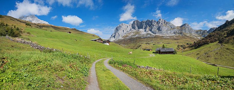 Hiking trail in Prättigau, Switzerland by SusaZoom
