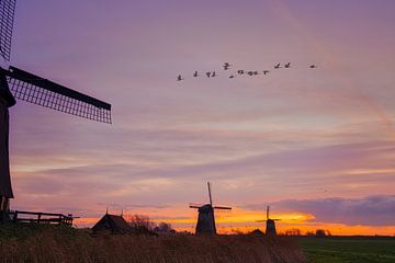 November sunrise at schermerhorn