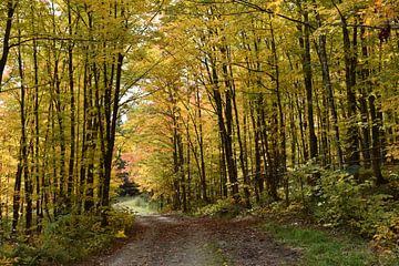 Eine Landstraße im Herbst von Claude Laprise