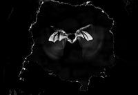 Fledermaus