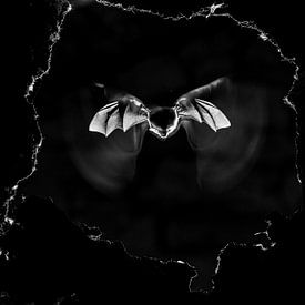 Bat by Dimas Serneguet Belda