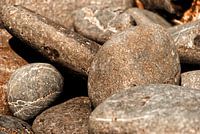 Rocks