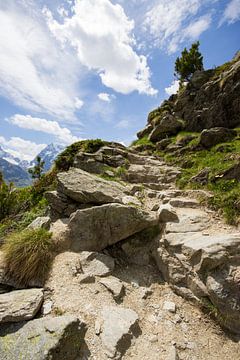 Schweiz 14 von André Hamerpagt