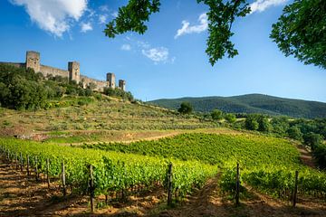 Monteriggioni medieval fortified village and vineyards by Stefano Orazzini