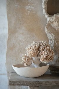 Nature morte au corail blanc et aux couleurs claires
