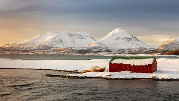 Boothuis in de winter, Senja, Noorwegen van Adelheid Smitt