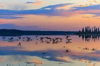 Elk Island National Park