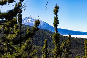 El Teide vulkaan op Tenerife