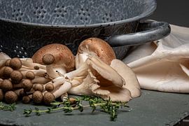 Tasty wonder by BeeldWoord