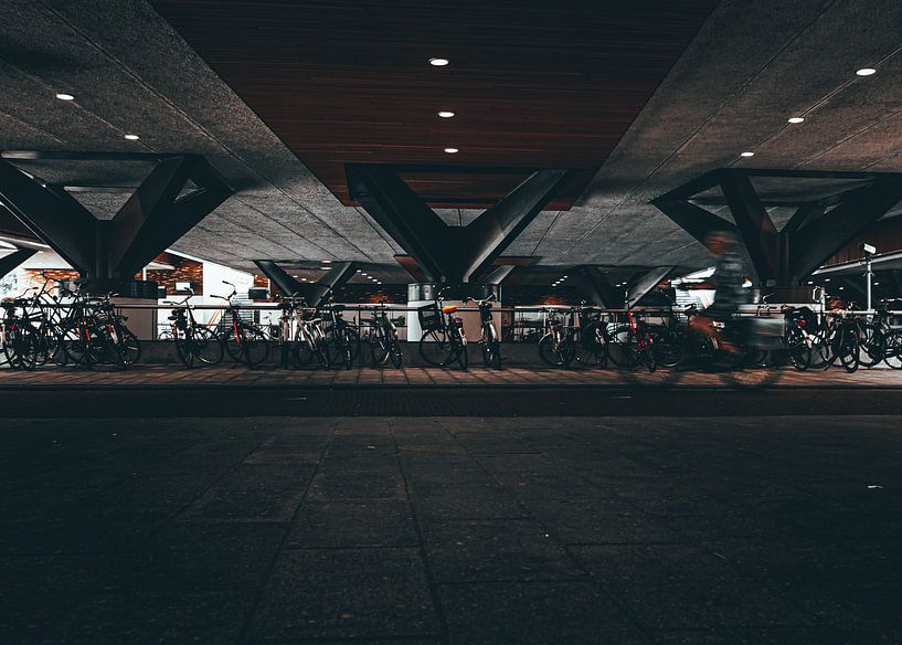 Bahnhof Vaartsche Rijn I von de Utregter Fotografie