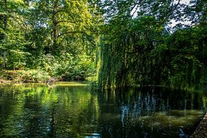 Parc d’Utrecht-Juliana avec parcourir branches dans l’eau