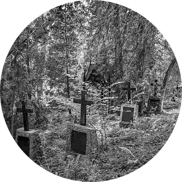 Verborgen rustplaats diep in het bos