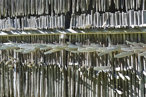 Heinzen an einer Scheunenwand im Allgäu