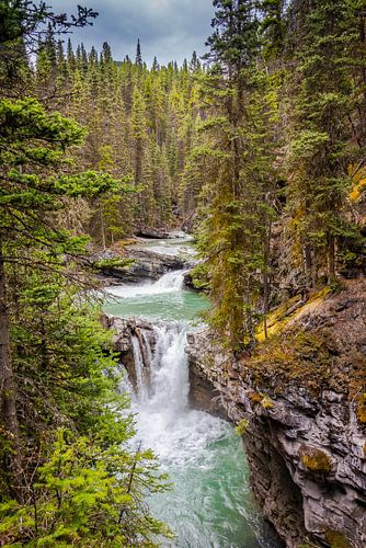 Chute d'eau à Johnston Canyon, Canada sur Rietje Bulthuis