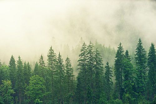 Moeder Natuur
