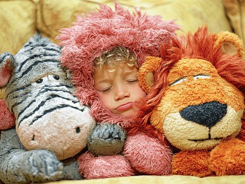 The Dream Cabinet of Cuddly Friends
