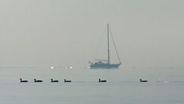IJsselmeer, Niederlande von Beschermingswerk voor aan uw muur