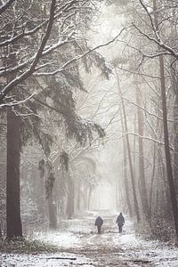 Winterspaziergang auf dem Utrechtse Heuvelrug!