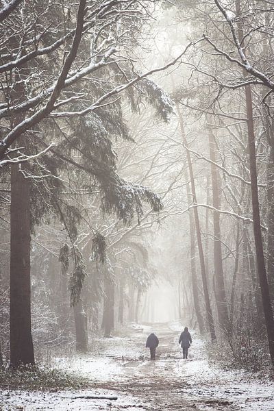 Winter walk on the Utrechtse Heuvelrug! by Peter Haastrecht, van