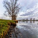 Der Fluss Maas bei Linden von Anneke Hooijer Miniaturansicht