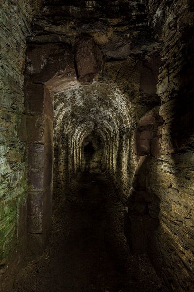 Tunnel met schim van Steven Langewouters