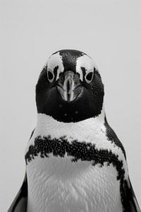 Pinguin in Schwarz-Weiß