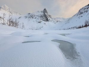 Besneeuwd meer met in de achtergrond de mooie bergen van Senja in Noorwegen. van Jos Pannekoek