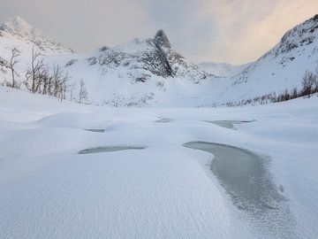 Snowy lake with in the background the beautiful mountains of Senja in Norway. by Jos Pannekoek