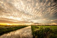 Ribbeltjeswolken boven het Haagse Beemdenbos van Cees van Gastel thumbnail