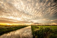 Ribbeltjeswolken boven het Haagse Beemdenbos