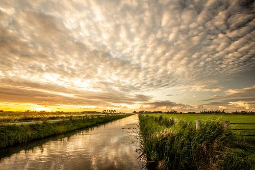 Gerippte Wolken über dem Beemdenbos in Den Haag