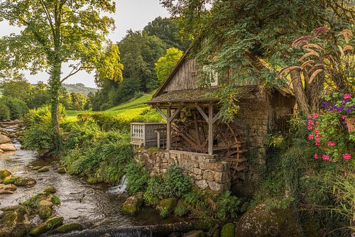 De molen Rainbauermühle bij Ottenhöfen in het Zwarte Woud