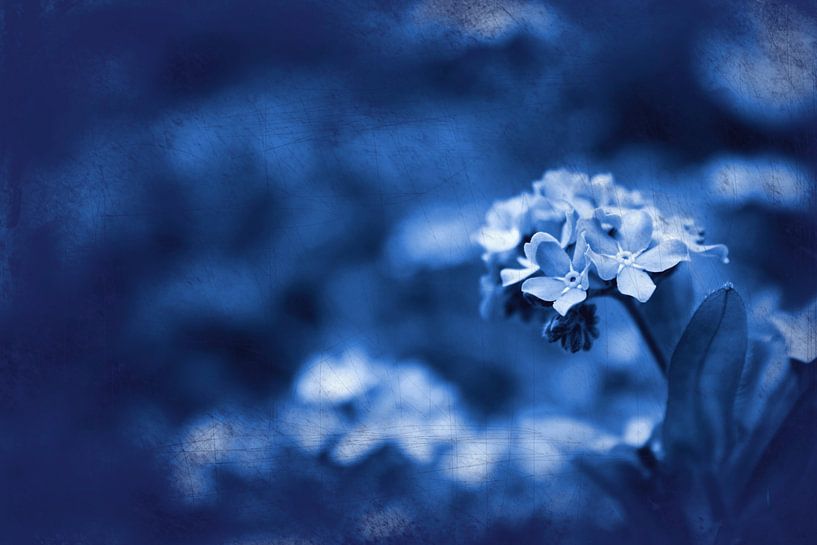 herinnering  par Andrea Meyer
