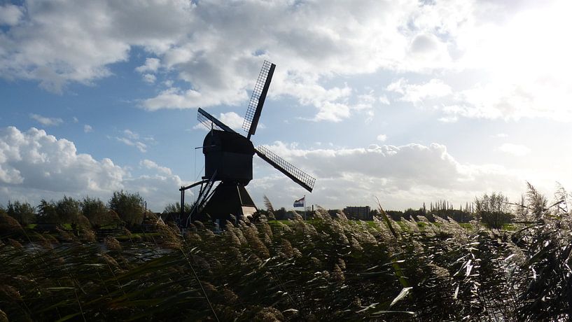 Windmolens van Kinderdijk von Gijs van Veldhuizen