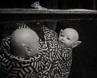 Elven twins