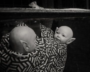 Elven twins by Saskia Schotanus