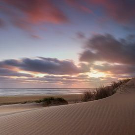 Les Dunes van Jos Duivenvoorden