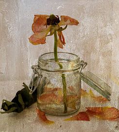 Am Ende der Zeit von Kay Weber