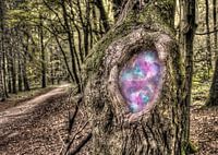 Fairy Tale Tree