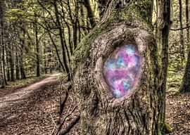 Fairy Tale Tree by Björn Leurs