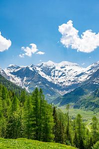 Alpen in Oostenrijk in de lente van Sjoerd van der Wal Fotografie