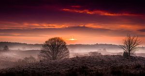 Mistige zonsopkomst Veluwezoom van Martijn van Steenbergen