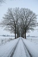 Route de campagne avec de la neige