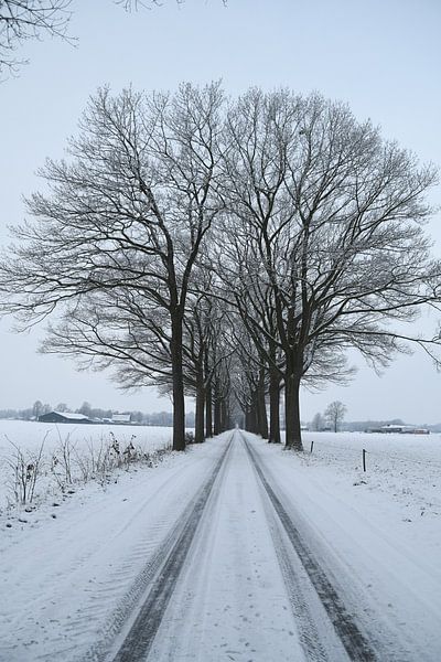 Landweg met sneeuw van Pauline Bergsma